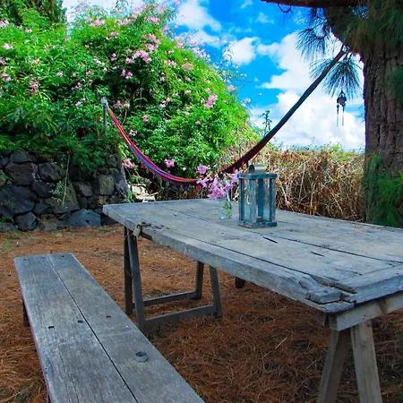 La Bodega Casa Rural Con Piscina Y Jardines